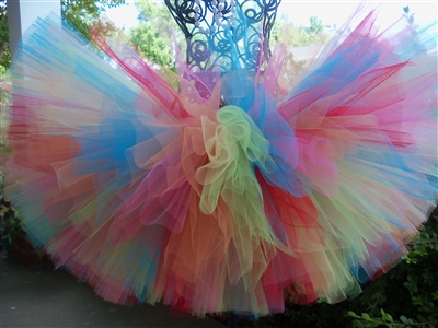 Beary Rainbow Tutu