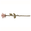 Pink Rose Keepsake