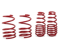 1998 - 2004 Audi A6 Quattro Avant H&R Race Springs