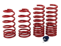 1992 - 1998 BMW 325i/325is/328i/328is H&R Race Springs