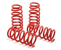 2013 - 2014 Ford Mustang Base/GT H&R Race Springs