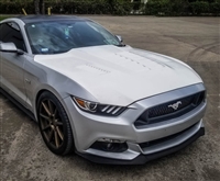 2015 - 2017 Ford Mustang A87 Fiberglass Hood - TruFiber