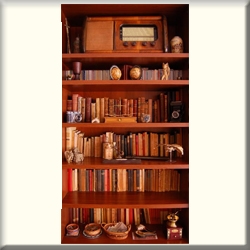 Vinyl Door Mural "Vintage Book Case" - Fire-Rated