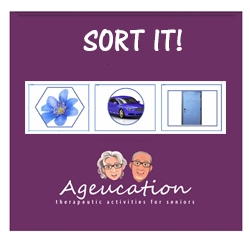 sort-it-activity-game-dementia-Canada