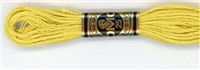 DMC Floss - Color 18, Yellow Plum