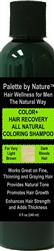 For Men Color + Hair Recovery All Natural Coloring Shampoo for Very Light Brown and Dark Blonde Hair