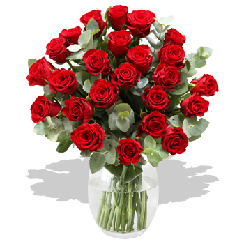 2 Dozen Red Roses