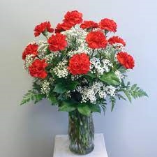 A Dozen Carnations