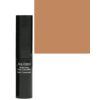 Shiseido Perfecting Stick Concealer 66 Deep