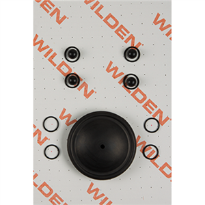 Wilden 01-9804-53 Wet Kit, 1/2'' Original Clamped, All Materials, Viton (1/2'' O/M/VTS)