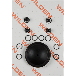 Wilden 01-9805-52 Wet Kit, 1/2'' Original Clamped, All Plastics, Buna-N (1/2'' O/P/BNS)