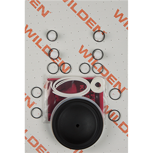Wilden 01-9805-55 Wet Kit, 1/2'' Original Clamped, All Plastics, PTFE w/Neoprene Back-up (1/2'' O/P/TNU)