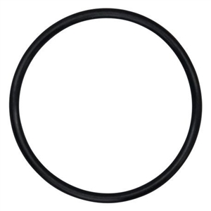 Wilden 02-1200-52 O-Ring