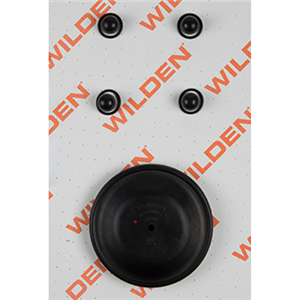 Wilden 02-9814-52 Wet Kit, 1'' Advance Bolted, All Materials, Buna-N (1'' A/M/BNS)