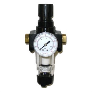 Master Pneumatic #CFRM10-2 Filter/Regulator