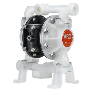 ARO PD05P-APS-PTT-B Diaphragm Pump