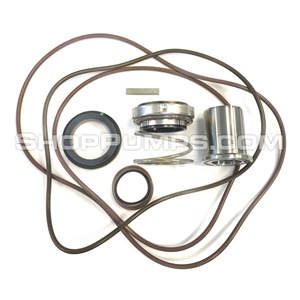 Goulds RPK3757S Mechanical Seal Kit, Viton, 3757 S-Group