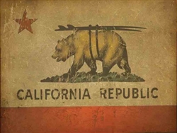 California Surfing Republic Metal Sign