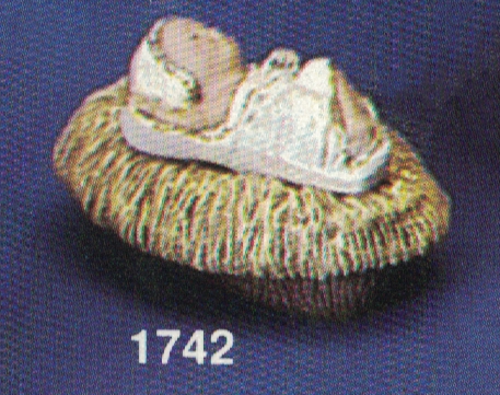 1742 Baby & Cradle