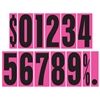 9Â½ Inch Black and Hot Pink Numbers