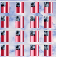 60ft. U.S. Flag Poly Pennant