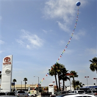 105' Pennant (Balloon Pennant)