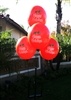 Holiday Reusable Balloon Cluster Kit