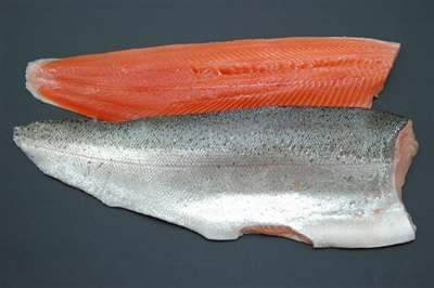 Rainbow Trout