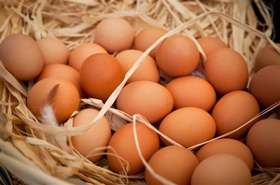 High Welfare - Farm Fresh Eggs ( 3 or more dozen discounted)