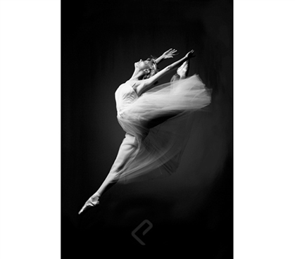 Ballerina - Grace In Motion Poster - Keep Your Dorm Room Cute and Classy With This Poster
