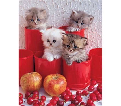 Cute Kittens in Pots Poster