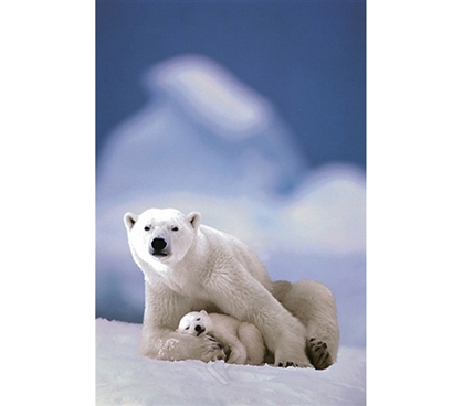 Wild North Pole Polar Bear and Baby Poster