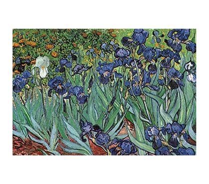 Flower Irises - Van Gogh Colorful Poster