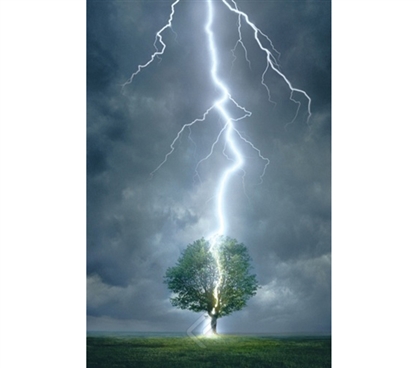 Powerful Lightning Striking Tree in Field Poster