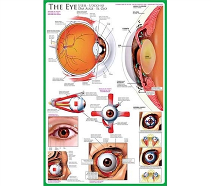 The Staring Human EYE - Dorm Poster