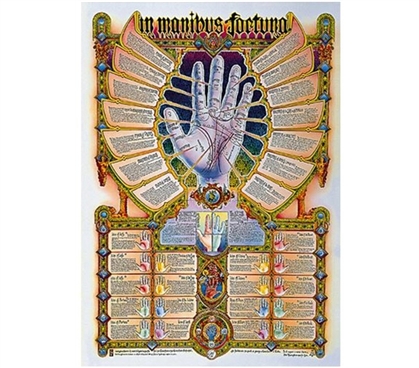 Dorm Room Decorations In Manibus Fortuna Poster