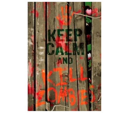 Add Character To Your Dorm - Keep Calm And Kill Zombies Poster - Cray College Item