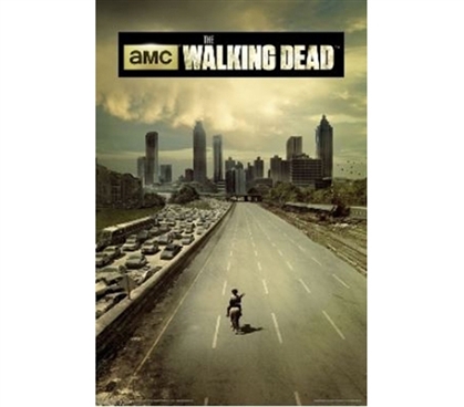 Add Fun Dorm Stuff - The Walking Dead Season 1 Poster - Perfect For Fans