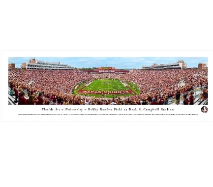 Florida State Seminoles Panoramic Picture - Doak Campbell Stadium Dorm Wall Art Dorm Essentials