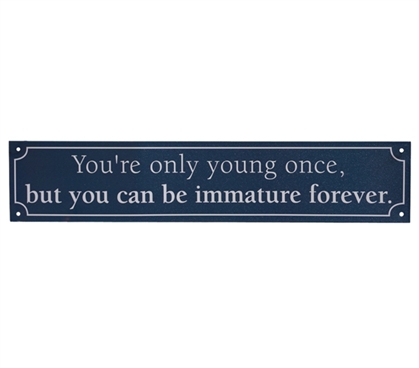 You're Only Young Once - Funny Tin Sign Dorm Essentials Dorm Wall Art