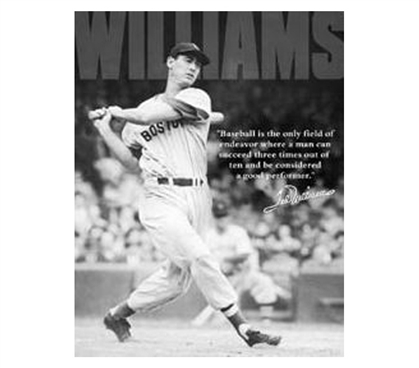 Add Sports Tin Signs - Ted Williams Tin Sign - Buy Dorm Items