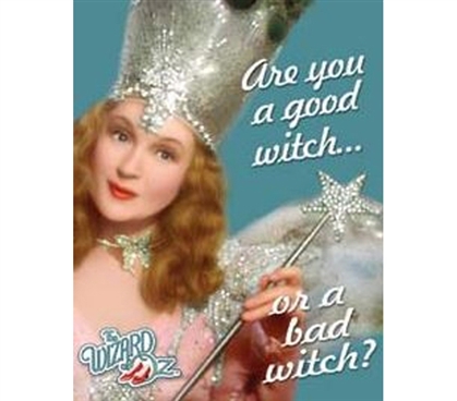 Tin Signs For College - Which Witch? Tin Sign - Decor For Dorm Rooms