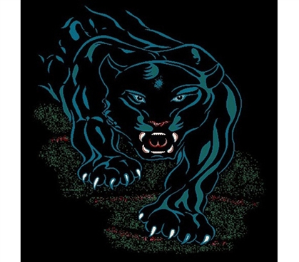 Black Panther Prowl Dorm Room Rug College Decorations