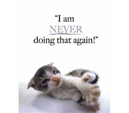 "I am Never Doing that Again!" Kitten Dorm Poster super cute kitten stubs his toe in this dorm room poster
