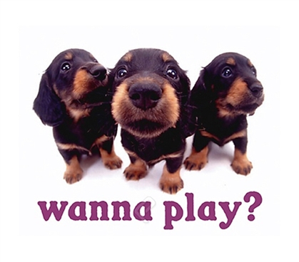 "Wanna Play?" Puppy College Dorm Poster super cute puppies want to play in this dorm room poster for college