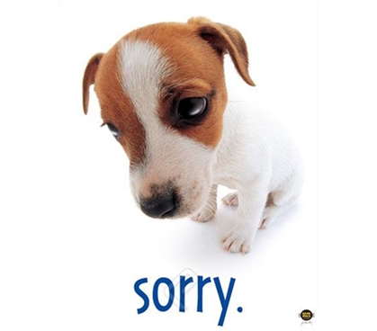 "Sorry" Dog Cute College Dorm Room Poster college room decorating poster shows guilty puppy you must forgive