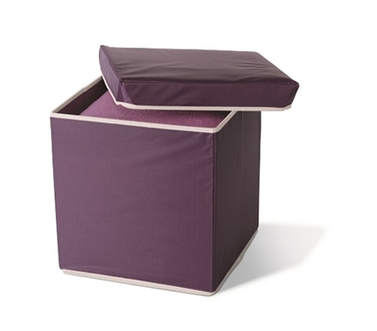 Unique Color - Storage Ottoman - Eggplant - Great Dorm Storage Item