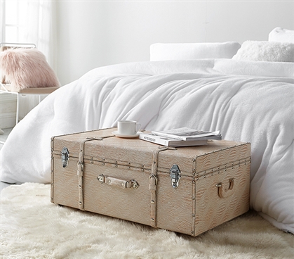 Dorm Storage Tips Chic Dorm Room Ideas Sturdy Wheeled Trunk with Lock Taupe Storage Trunk