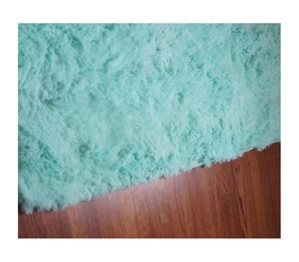 College Plush Rug - Calm Mint College Rug Must Have Dorm Items Dorm Essentials