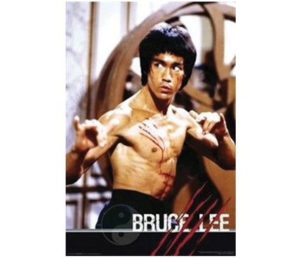 Bruce Lee Fight Poster